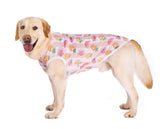 HDKUW Pet Clothes,Dog Summer T-Shirt Cool Breathable Sunscreen Dog Vest Clothes Outfit Costume for Medium Large Dogs Pink Fruit 3XL