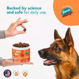 Ol'Nelly Pre & Probiotics for Dogs- 30 Soft Chews (Bacon) - Daily Dog Probiotics for Digestive & Gut Health - Diarrhea, Gas & Constipation Relief -All Ages and Breeds - Probioticos Perros Chewable