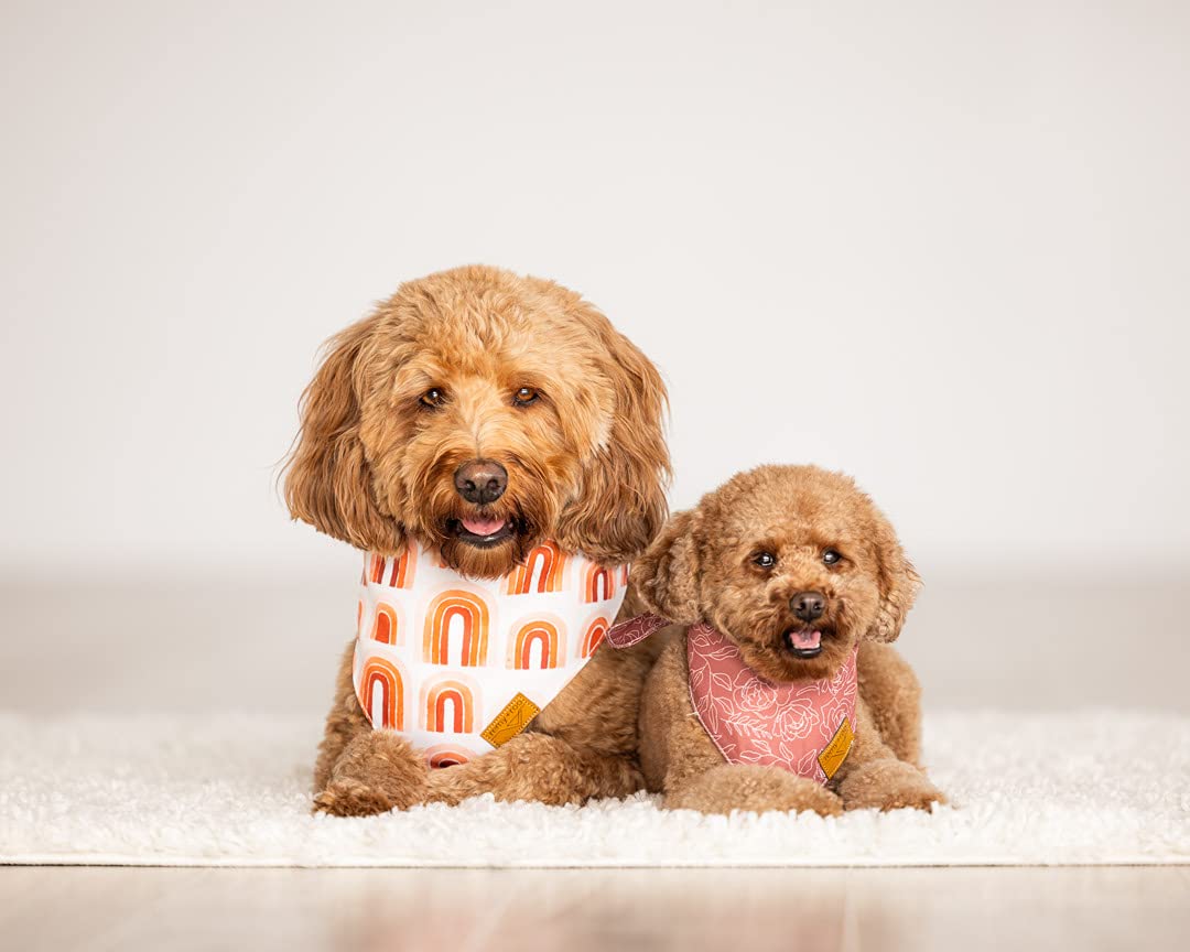 Remy+Roo Small Spring Bandanas - 4 Pack Rubi Set | Premium Durable Adjustable Polyester Fabric | Patented Shape Girl Dog Bandana, Floral Dog Bandana