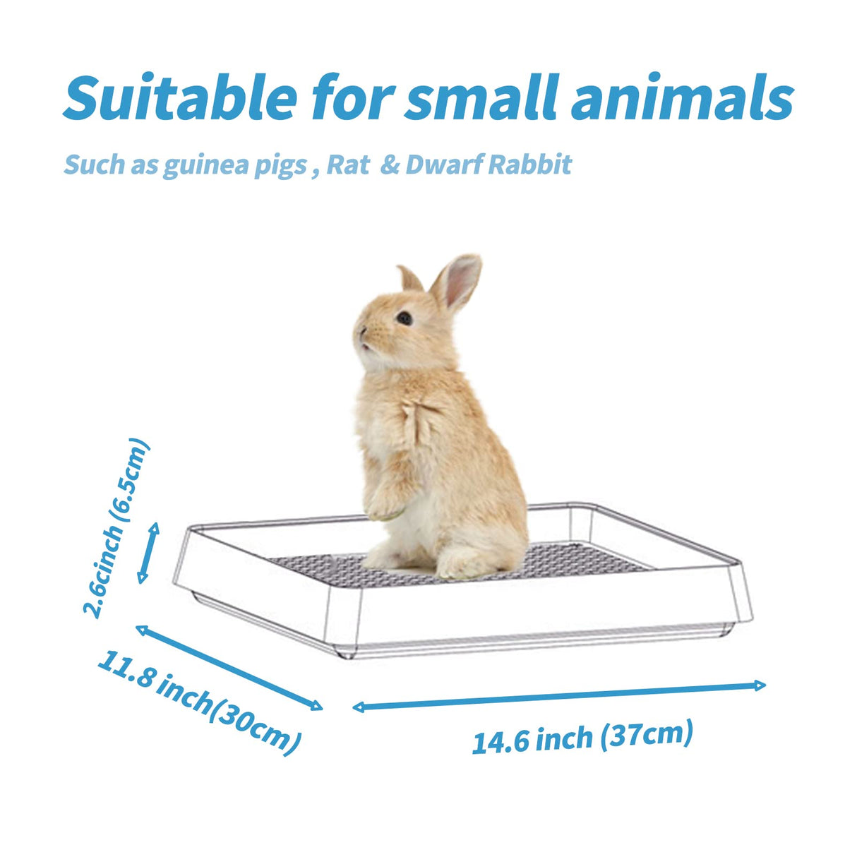 PODOO Rabbit Litter Box – Training Potty Tray for Guinea Pig & Small Pets · Spacious Grid Pan with Low Entrance, Easy-Clean & Odor-Resistant—Helps Keep a Clean Cage and Reduce Mess