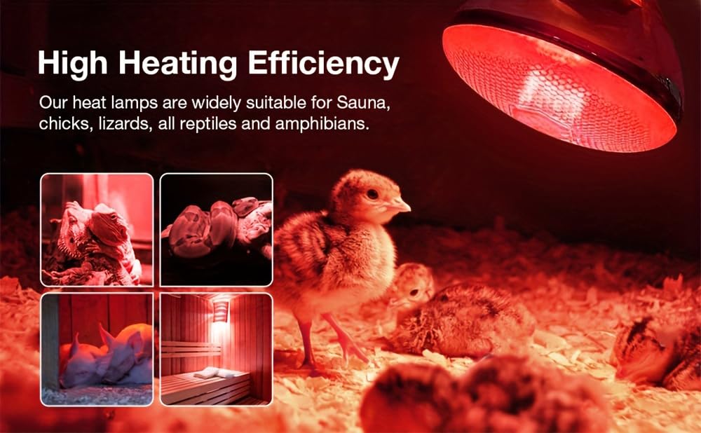 BONGBADA 2 Pack 250W Heat Lamp Red Infrared Bulbs Glass Lamp Bulb for Food Service, Brooder Bulb, Chicks, Pet, Bathroom, Light Therapy Use E26 Base, Flood Light Heat Lamp.