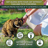 Flea Collar for Cats: 4 Pack Adjustable Kitten Flea Collar - 8-Month Protection, Waterproof, Gray