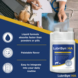 LubriSynHA Hyaluronic Acid Hip & Joint Care Supplement for Dogs, Cats & Horses – Liquid Oral HA for Pets – Joint Support Supplement Promotes Mobility, Flexibility, Cartilage Health & Comfort – 32oz