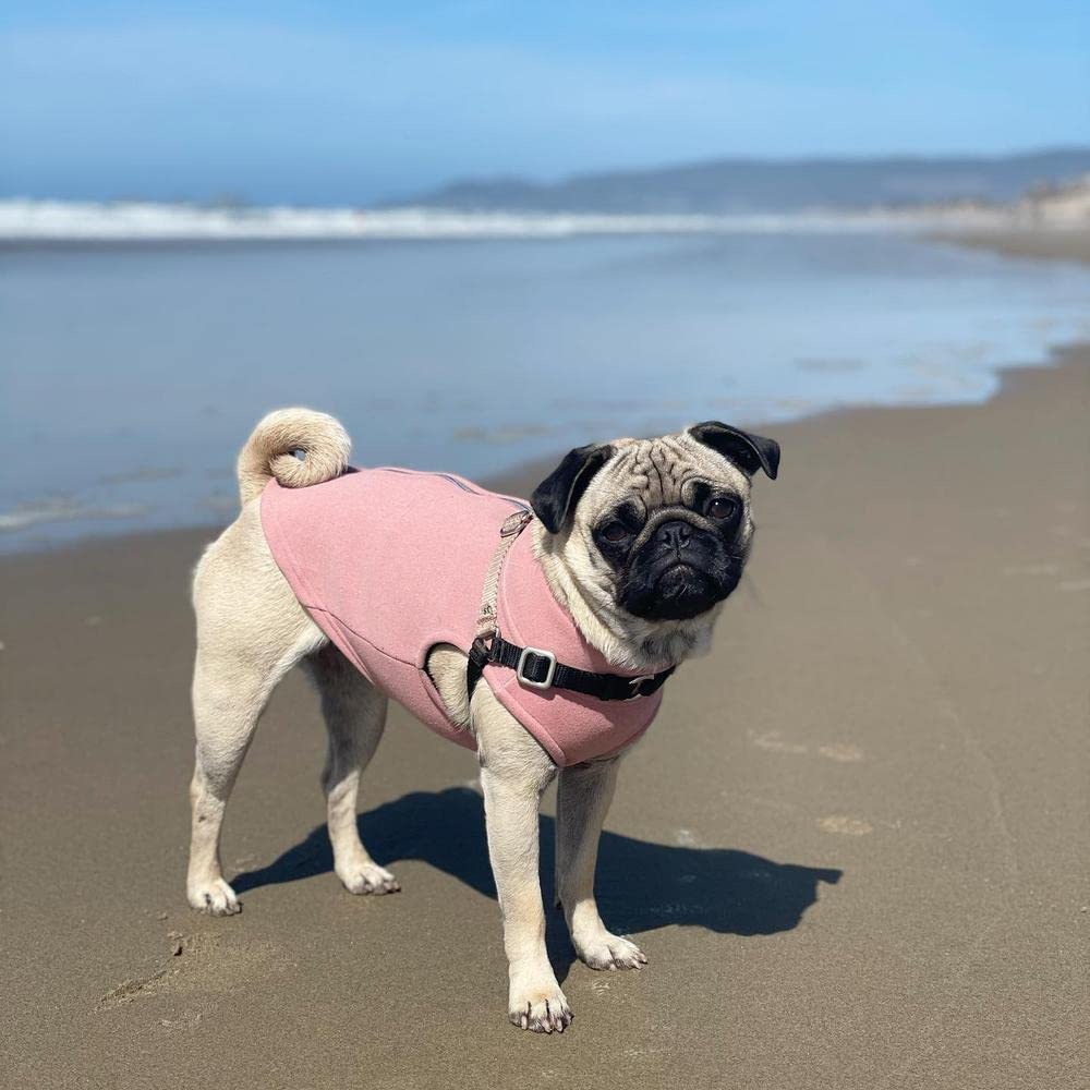 Gooby Zip Up Microfiber Fleece Dog Sweater - Pink, Medium - Warm Double Layered Soft Microfiber Fleece Step-in Dog Jacket for Small to Medium Dogs