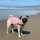 Gooby Zip Up Microfiber Fleece Dog Sweater - Pink, Medium - Warm Double Layered Soft Microfiber Fleece Step-in Dog Jacket for Small to Medium Dogs