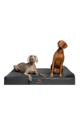 NOAH & PAW Giant Dog Bed XXL 55x45x9.5 Inch, Orthopedic Dog Beds, Eggshell Memory Foam Infused with Cooling Gel, Waterproof, Machine Washable, Includes Inner Cover (Faux Leather)