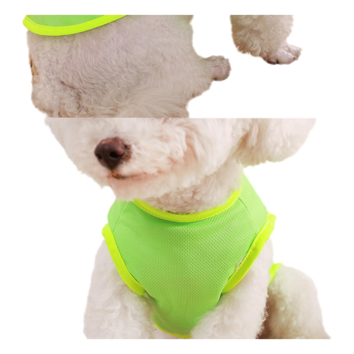Tangpan 2 Pack Dogs Shirts Soft Breathable Solid Dog T-Shirts with Leash Ring Tank Top Summer Dog T-Shirts Apparel Sleeveless Dog Vest Dog Tee Shirt for Small Dogs A# XL