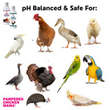 Feather Shampoo for Chickens | Bird Shampoo for Cockatiels, Cockatoo, Parrots: Poultry Conditioner & Baby Chicken Supplies, Gamefowl Supplies for Clean Feathers (Lavender)