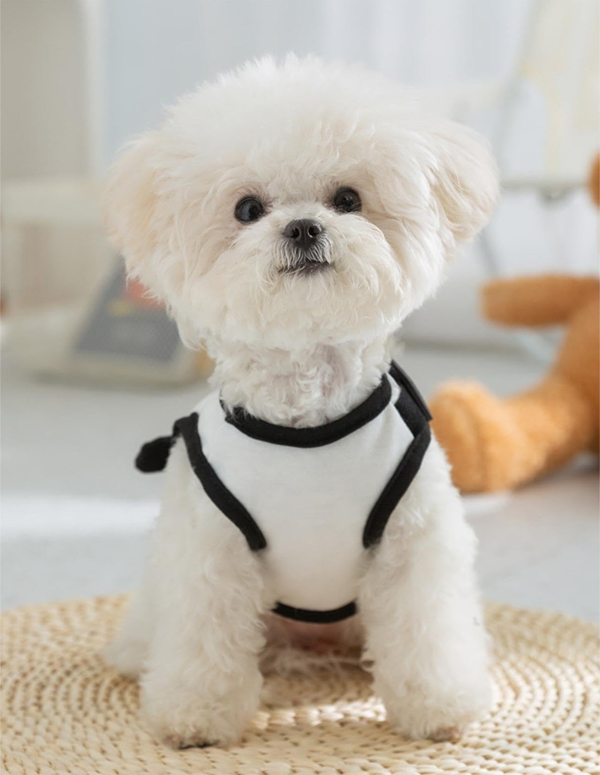 Dog Shirts for Small Dogs Breathable Dog Outfit Soft Puppy Sweatshirt Dog Clothes Pet Shirts Summer Puppy Clothes Tank Top Sleeveless Vest Pet Clothes Dog Costumes for Small Dogs Black Panda L