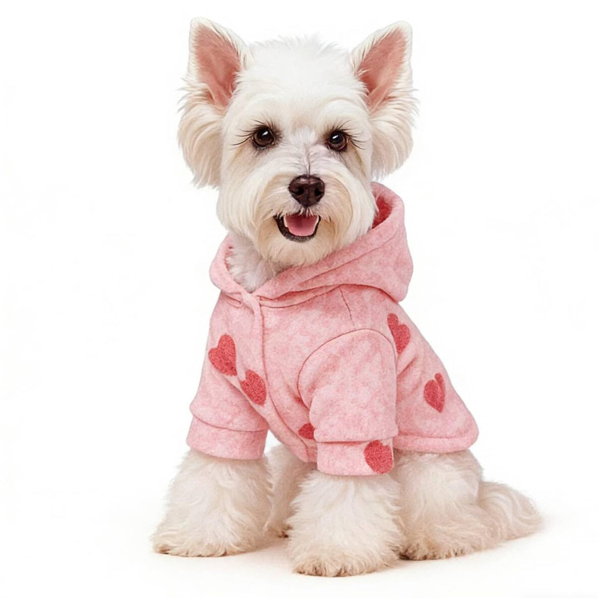 BAMY Valentine's Day Dog Dress, Pink Heart Pet Skirt, Bowknot Cat Sweet Tutu for Cats Small Dogs Puppy Pomeranian Teddy (Large, Hoodie)