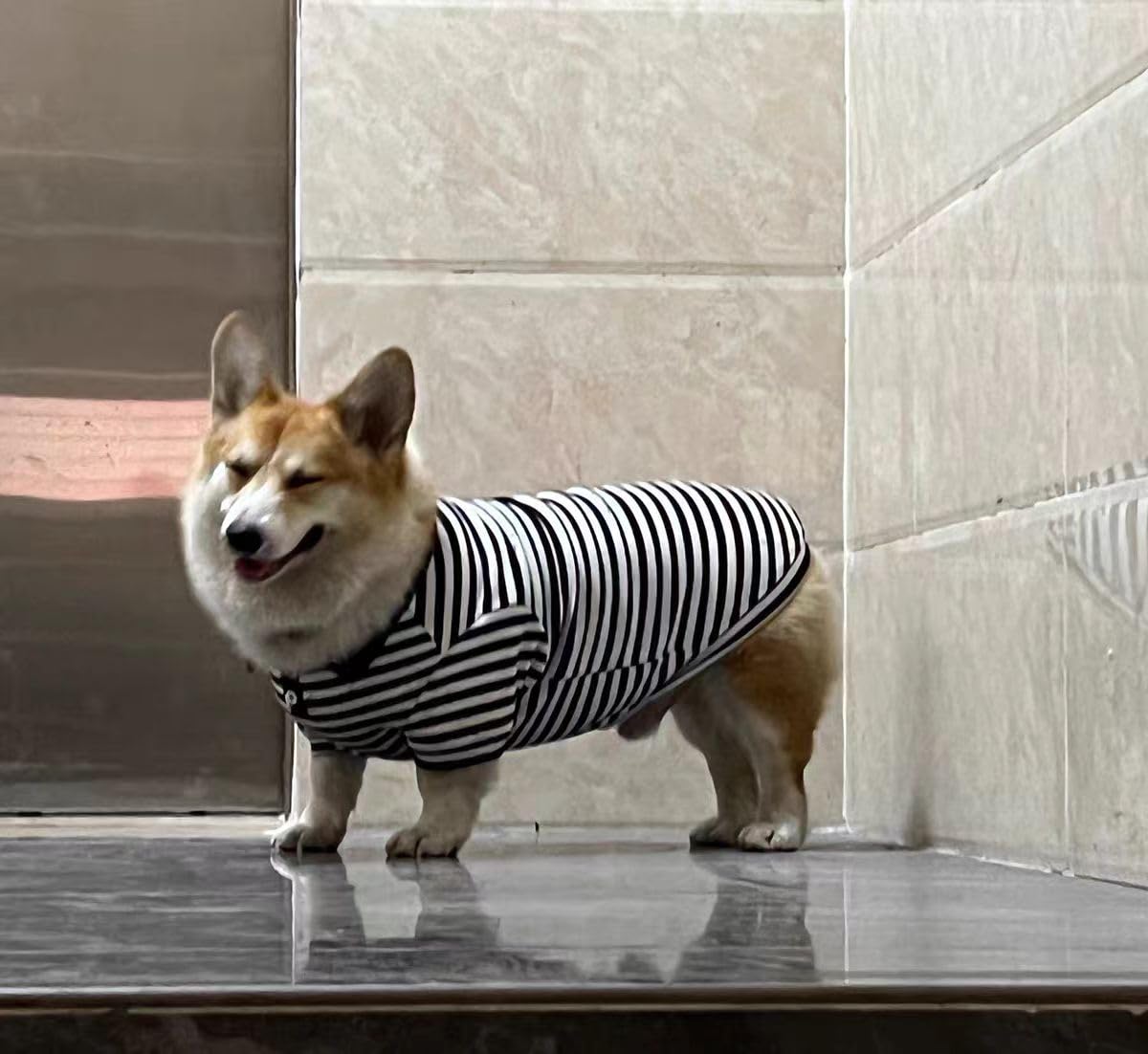Cute Dog Clothes Striped Dog Polo Shirts Cute Sweater Puppy Clothes Gentle Sweater Pet Clothes for Small Medium Large Dogs Cats (Black Stripe, 3XL Size for 40-55lb Pets)