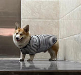 Cute Dog Clothes Striped Dog Polo Shirts Cute Sweater Puppy Clothes Gentle Sweater Pet Clothes for Small Medium Large Dogs Cats (Black Stripe, 3XL Size for 40-55lb Pets)
