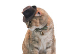 Indiana Jones Fedora for your Cat, Indiana Jones hat for Dog or Pet