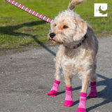 RC Pet Products Sporty PAWks Anti-Slip, Stylish, Functional, Protective Dog Socks | Small, Olive Heather