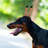 POPETPOP 2 Sets Dog Ear Posting Kit - Doberman Ear Stand Up Tool with Tape, Dog Ear Stand Up Support Tool for Doberman Pinscher Dog Ears Sticker Up