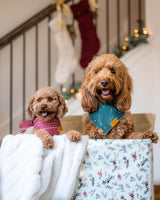 Remy+Roo Dog Bandanas - 2 Pack | Evergreen Christmas Dog Bandanas Set | Premium Durable Fabric | Patented Shape Bandanas for Dogs | Adjustable Fit | Multiple Sizes Offered