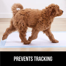 Load image into Gallery viewer, Gorilla Guard Disposable Puppy Pads, 100 Count 22x22 in, 5 Layer Pee Pads for Dogs, Absorbent Diaper Changing Pad, Dog Potty Training Supplies, Quick Dry Pet Housebreaking Essentials for Puppies
