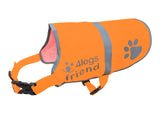 Upgraded Reflective Dog Vest. Hi-Visibility, Fluorescent Blaze Orange Dog Vest Helps Protect Your Best Friend. Safeguard Your PUP from Motorists & Hunting Accidents, On or Off Leash by 4LegsFriend