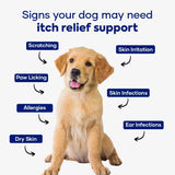 Aniwell Itch Relief Chews for Dogs – Vitamin E & Borage Oil Supplement – Packed with Beneficial Fatty Acids for Healthy Skin – Seasonal Allergies Support