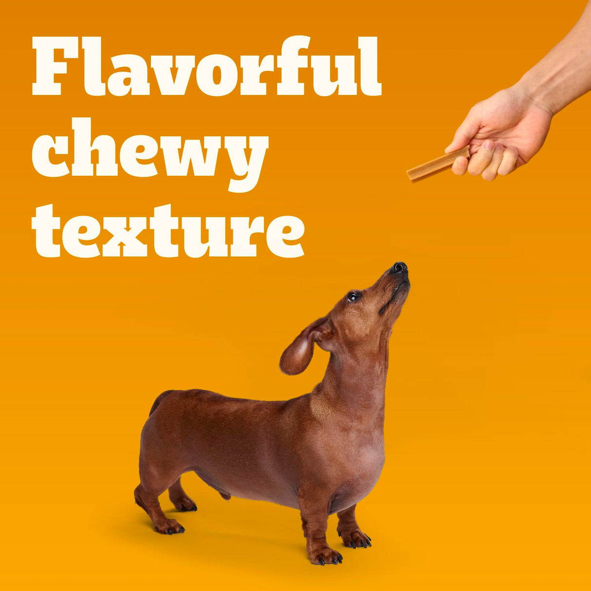 Pedigree Dentastix Small and Toy Breed Dog Treats, Original, Beef & Fresh Flavor, 2.36 lb. Variety Pack (157 Treats)