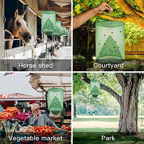 Ckyuna 8 Pack Fly Trap Garden Ranch Orchard Trap,Ranch Fly Trap Flay Catcher, The Most Effective Trap Ever Made with Pots Flay Catcher New Fly Red Drosophila