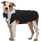 IDOMIK Dog Tuxedo for Small Medium Large Doggie, Detachable Dog Formal Wedding Suit with Tuxedo Vest & Bow Ties Collar & Bandana Scarf Set, Wedding Attire Shirt for Birthday Party Costume