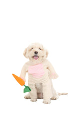 Fun Costumes Easter Bunny Dog Costume | Plush Rabbit Bodysuit & Headpiece | Pet Outfit with Carrot Accessory - Medium, White, Pink, Orange