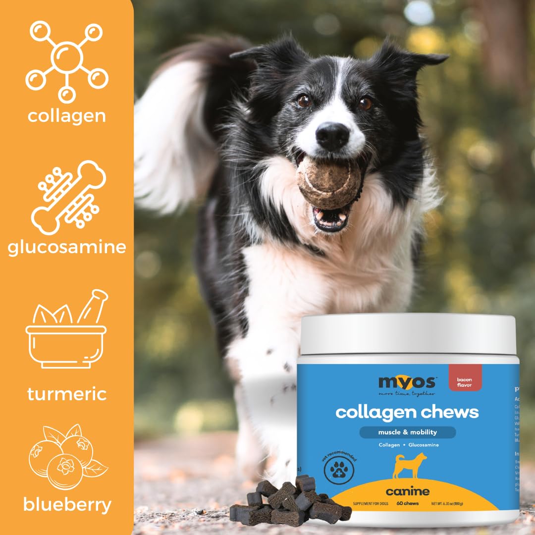 MYOS Canine Muscle & Mobility Chews – Collagen & Glucosamine for Dogs - Bacon Flavor Joint Supplement for Muscle, Bone & Joint Support, 60 Count