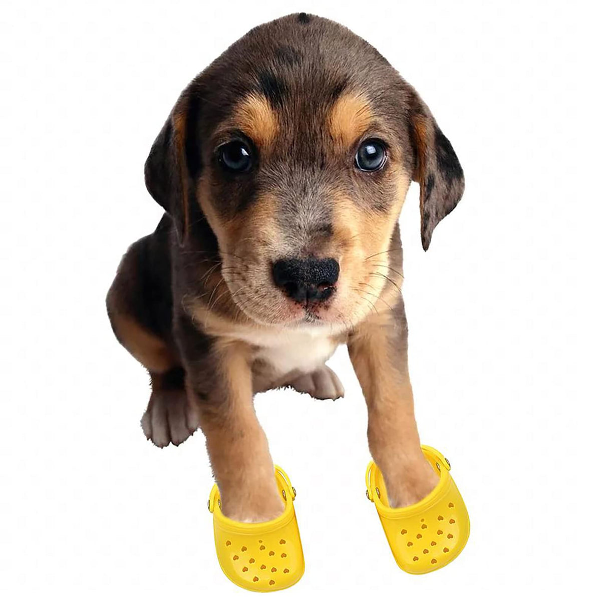 4 PCS Small Dog Sandals, Shoes for Dogs, Candy Colors Dog Sandals for Photo, Doggy Rubber Slipper Shoes Yellow