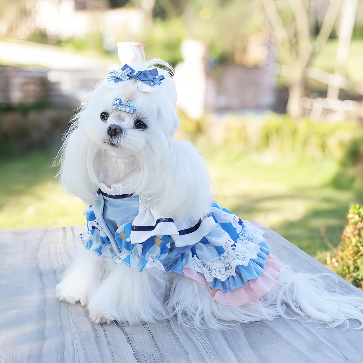 MengYu Small Dog Dress Cat Princess Costumes, Pet Birthday Clothes,Lolita Costume Dress for Puppy and Kitten，Velvet Pet Bodysuit Clothes for Daily，Anniversary，Indoor，Outdoor
