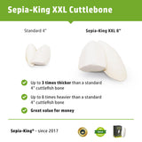 Sepia King - Extra Large - 100% Natural Calcium Supplement - Premium Cuttlebone Perfect for Birds, Tortoises, Snails, Reptiles - Pack of 3