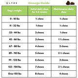 Glyde Mobility Chews for Dogs – Hip & Joint Supplement with Glucosamine, Chondroitin & Green-Lipped Mussel – Supports Arthritis Relief, Flexibility & Mobility – 120 Soft Chews