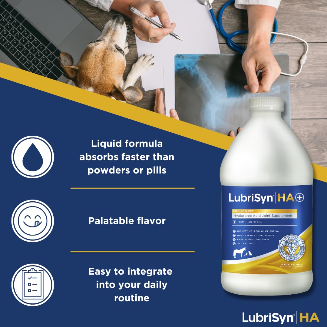 LubriSynHA Hyaluronic Acid with MSM Hip & Joint Care Supplement for Dogs, Cats & Horses – Liquid Oral HA for Pets – Joint Support Promotes Mobility, Flexibility, Cartilage Health & Comfort – 64oz