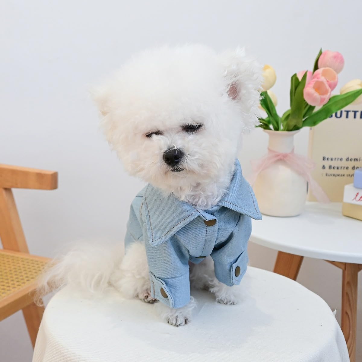 Dog Jean Jacket Girl Puppy Clothes Funny Apparel Outfits with Letter，Pearl ，Crown，Bow Decor Small Dog Clothes Cat Shirts Pink Bow L