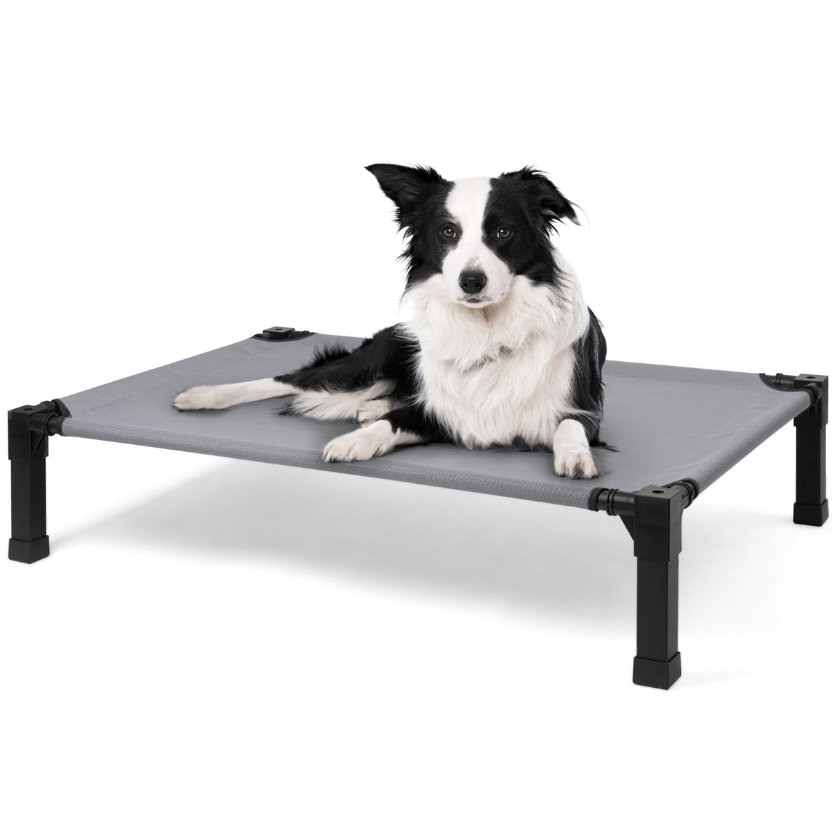 Cooling Elevated Dog Bed with Mesh and Metal Frame, Portable Dog Cot for Outdoor and Indoor Use