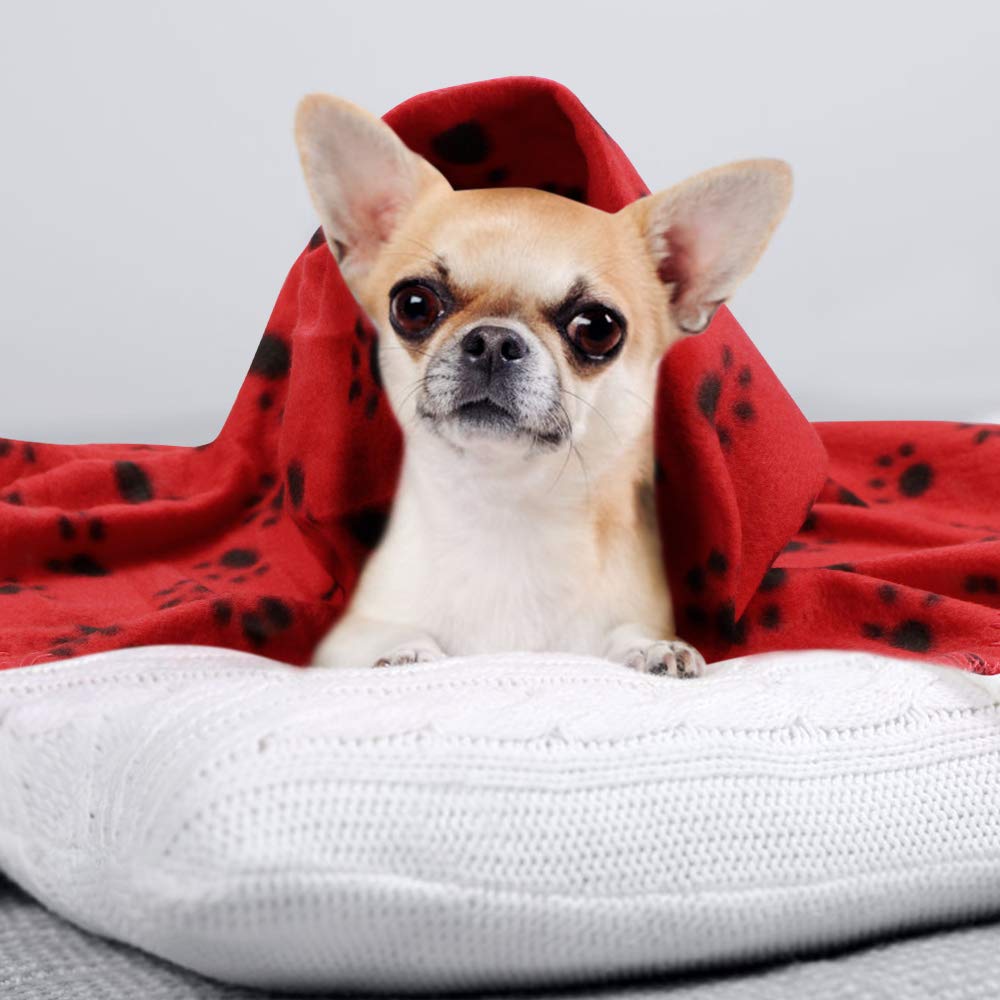 Comsmart Dog Blankets for Small Dogs, 6 Pack Puppy Blanket Cute Paw Print Pet Blanket for Dog, Puppy, Cat, Kitten, 24x28 inches, Red