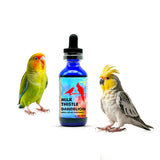 Morning Bird Milk Thistle & Dandelion Extract 1 fl oz - Organic Bird Supplement for Optimal Health – Support Liver Heath & Promotes Detox - Suitable for All Birds Species