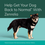 Zenrelia (ilunocitinib Tablets) | Once Daily Prescription Itch Relief for Dogs | 15 mg mg (30 Count)