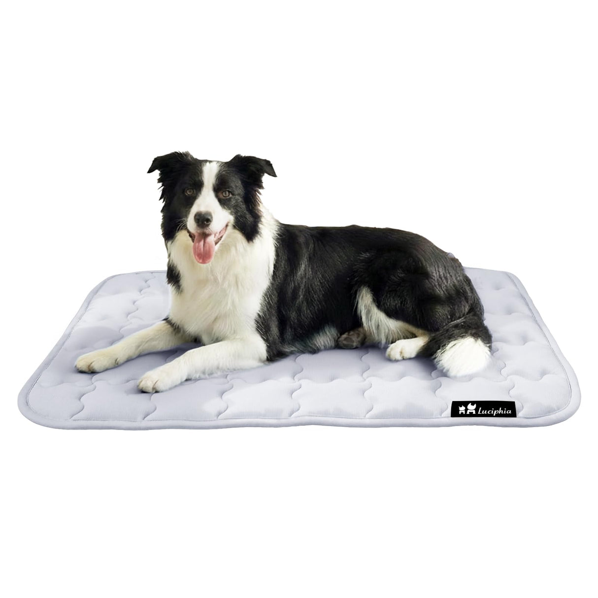 Luciphia Premium Dog Cooling Mat Non-Slip Q-MAX>0.5 Self-Cooling Pad for Small Pet Cat Indoor Portable Kennel Puppy Bed for Summer Crate Pad for Dog Washable Light Grey 20x30 inches