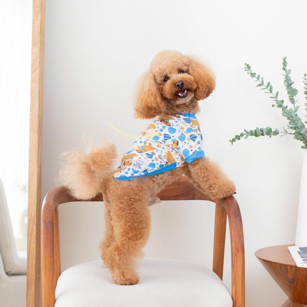 Pippo's Shop 2 Pack Dog Shirt Premium Peru Cotton–Fashionable and Cute, Pet Apparel Lightweight Stretch Puppy Cool Soft T-Shirt Smooth Breathable Clothes (Bee & Pup-Boy Pack, Small)