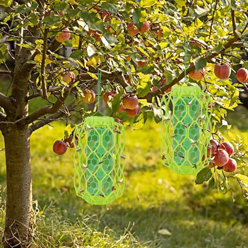 Sancodee 2 Pcs Wasp Trap Outdoor Hanging, Insect Catcher for Wasps and Carpenter Bees, Bee Killer Sticky Bug Boards Yellow Jacket Trap with Bait Reservoir, Non-Toxic Reusable Wasp Hornet Trap (Green)