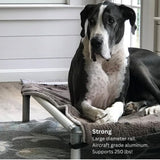 Kuranda Chewproof Elevated Dog Bed - Silver Aluminum - 30" x 20" - Cordura Nylon - Forest Green