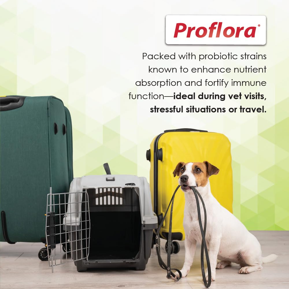 Proflora Probiotics for Dogs-Complete Gut Health & Immune Support. Easy to Use Digestive Multi-Strain Probiotics. Easier Diet Transitions, Healthier Skin & Coat & Helps Treat Diarrhea. 30 Packets.
