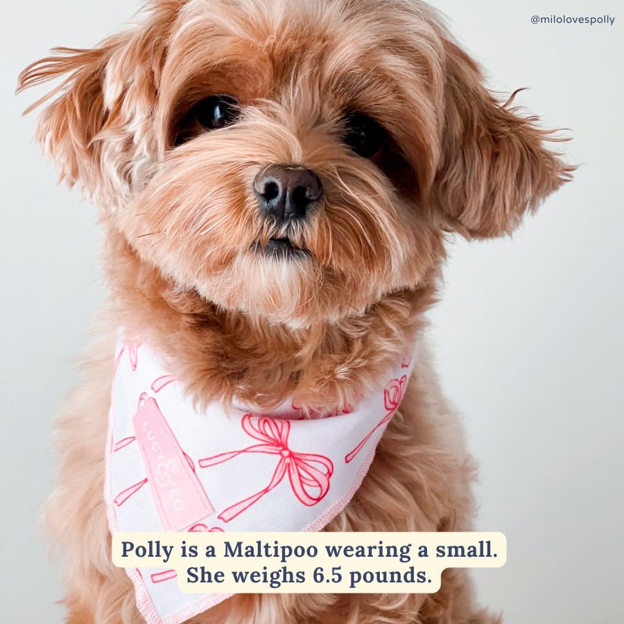 Lucy & Co. Ballet Bows Bandana - Durable Comfortable Dog Bandana - Machine Washable - Designer Puppy Accessory - Large White & Pink Bows