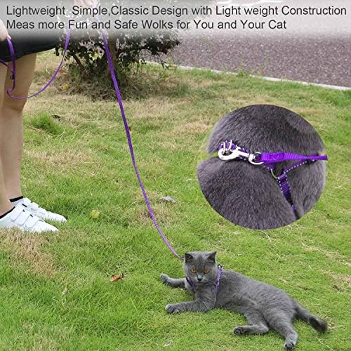 AMAGOOD 6 FT Puppy/Dog Leash, Strong and Durable Traditional Style Leash with Easy to Use Collar Hook,Dog Lead Great for Small and Medium and Large Dog (5/8 in x 6 ft, Black and Purple(2-Pack))