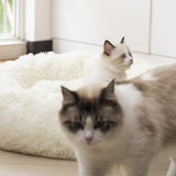 Raimaiso Anti Anxiety Round Fluffy Plush Faux Fur Warm Washable Dog Bed & Cat Bed, Original Bed for Small Medium Large Pets,Used to Relieve Joints and Improve Sleep（20"/24"/27''） (27", White)