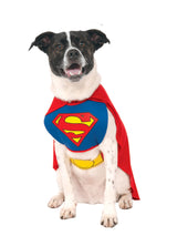 DC Comics Superheroes: Superman Pet Costume for For Dogs or Cats by Rubies, Large
