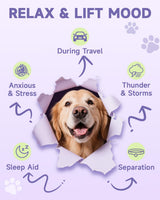 Dog Calming Drop – Anxiety Stress Relief for Dogs,Separation, Fireworks, Storm,Thunder Anxiety Support,Sleep Aid Dog Calming Supplement, GABA, L-Tryptophan, L-Theanine, Chamomile 60ML Calming for Dogs