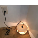 Flea Trap, Sticky Flea Traps for Inside Your Home, Odorless Non-Toxic Natural Flea Killer Trap Pad Bed Bug Trap Light Bulb Pest Control for Home House Inside, Safe for Children Pet Dog Cat(2 Pack)