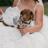 Hollow Dog Wedding Dress Tutu Skirt Luxury Lace Pearl Bow Christmas Dress Costume for Small Dog Pet Apparel (XS, White)